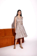 Ivory Glass Organza Embroidered V Neck Gathered Dress
