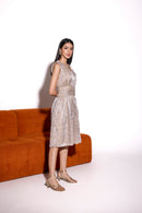 Ivory Glass Organza Embroidered V Neck Gathered Dress